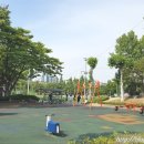 신트리공원 축구장 이미지