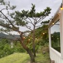 [안동숙소추천] 대구근교여행 에어비앤비숙소 추천 독채숙소 안동엘스테이 내돈내산 후기