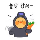제주야회 이미지