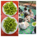 봉기농장 이미지