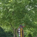 금남구즉로(유성-137) 티스토리