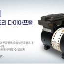 유유엠주