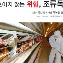 보이지 않는 위협, 조류독감 1 - 독감의 역사와 극복을 위한 노력 (월간개벽 2007.1) 이미지