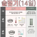 라이트핏 이미지