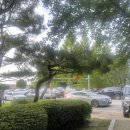 대수길31 이미지