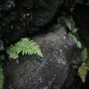 올래놀래 이미지