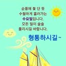 사이,담 이미지