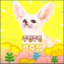 동물원 | 경주 여행 코스 주렁주렁 동물원 후기