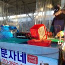 삼척번개시장 | 삼척여행│ 신년 일출 보고 꼭 들르는 삼척번개시장, 현지인 단골 횟집부터 따끈한 오뎅까지!