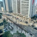 도미인 서울 강남 이미지