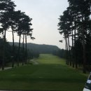 퍼시몬