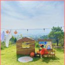 비행기나무 | 🏡 강화도 독채 키즈펜션 '비행기나무'에서의 특별한 가족 여행 후기 🌳