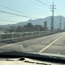 병호돌장어 이미지