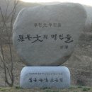 플로라펜션민박 이미지