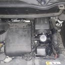 라파레이 이미지