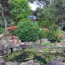 다담식당 이미지