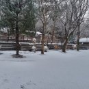 베어팜(주) 이미지