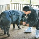 산우리농장 이미지