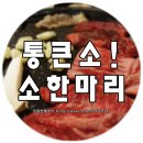 굽기좋은날 네이버블로그