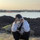 조은느낌 이미지