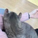 엽기떡볶이하남미사강변점