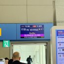 653 | 방콕 경유 이탈리아 여행 타이항공 TG653 비즈니스석 직접 타본 후기