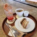 연의양과 이미지