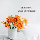 J2HAIR 이미지
