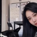 비앤영의원 이미지