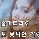 아직도 못다한 사랑 - 솔개트리오 이미지