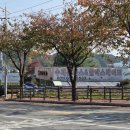 기쁜교회앞 사거리 이미지