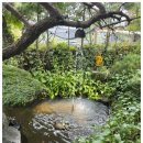 제주본가 | 남양주맛집 추천! 밥 두 공기 각오하는 갈치조림 본가제주밥상 후기