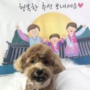 비비펫 살롱 이미지