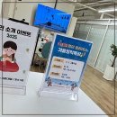 석전동315 | 나를 위한 시간, 활력을 찾는 여정: 석전동 필라테스 이야기