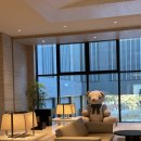 유천목장 | 🤎11월 강원도 태교여행: 신라모노그램 강릉, 포남사골옹심이, 카페 게락, 실버벨교회, 유천막국수