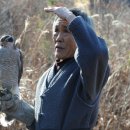 매사냥체험홍보관 이미지