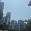 세교초교 사거리 이미지