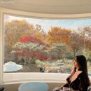 도곡5리마을회관 이미지