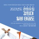 일비태권도장 네이버블로그