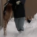 명동PC게임 이미지