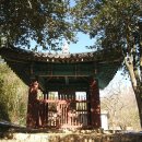 월출산에서 월남사지진각국사비(月南寺址眞覺國師碑)를 만나다