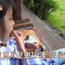 소설민박 이미지