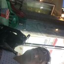 개령 이미지
