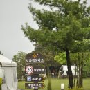 강화 캠핑 파크 카라반 글램핑