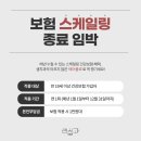 플로D 이미지