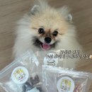 꽃길만걷개 이미지