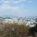 용정탕 이미지