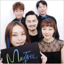 메이트리(MAYTREE)