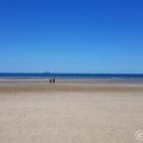 미씨엘로 이미지