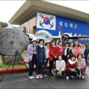 해군사관학교 박물관 Daum카페